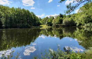 Domaine du grand roc- Gîte 1-La mésange - Foto 1