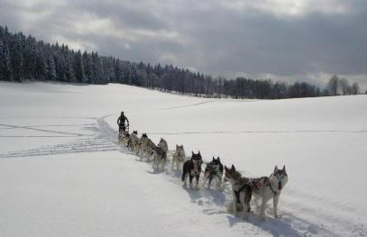 CHALET COSY A LA MONTAGNE AVEC SAUNA TONNEAU situé à St Laurent en Grandvaux - Proche lacs cascades et pistes de ski - Foto 29