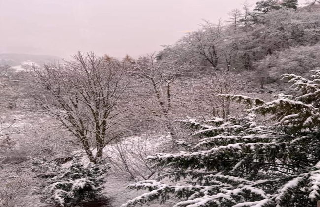 Wohnung in der Nahe des Skigebietes Battenberg - Foto 38