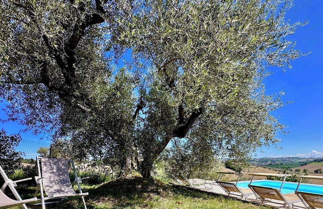 Ancient Country House With Swimming Pool - Foto 24