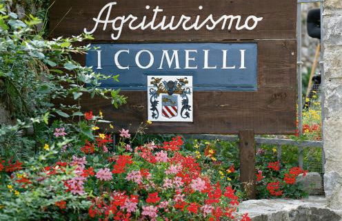 Agriturismo I Comelli - Foto 4