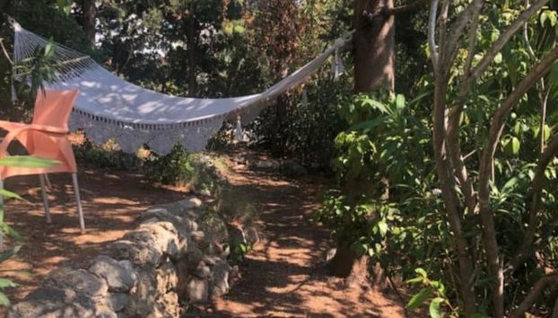 Secret Garden - Seaview - A2 - Foto 5, Jardín