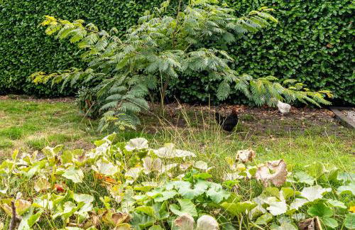 Lac et Nature - Foto 31