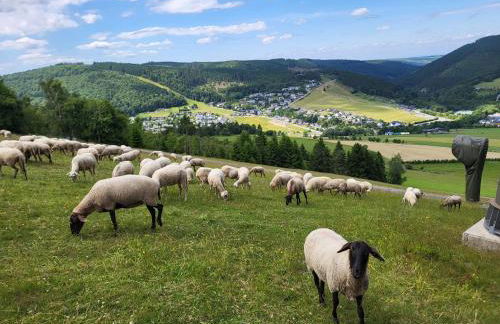 Ferienwohnung Ziegler - Foto 15