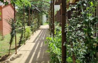 Soleil, Piscine, Parking et Bienvenue à Sisco - Foto 9