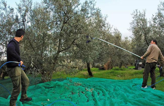 Duplex Apartment Close The Countryside Of Rome 5 - Foto 13