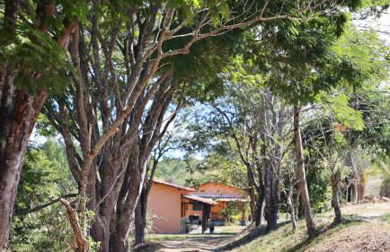 Haras Santa Amalia - Nova União MG - Foto 18