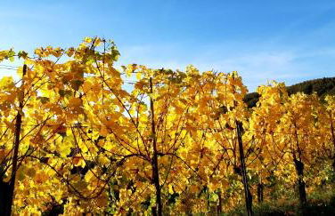 Ferienwohnung Ambiente - Foto 38