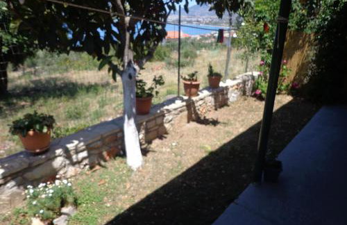 EVELIN STUDIO - Foto 25