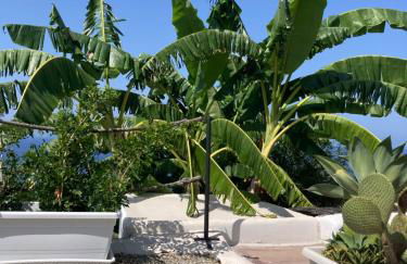 LE CASETTE DI MALFA - Foto 67