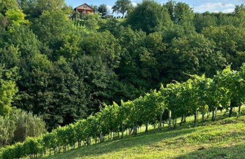 Ruralna kuća za odmor Brezanka, Zagrebačka ulica 21 Gornja Stubica - Foto 34