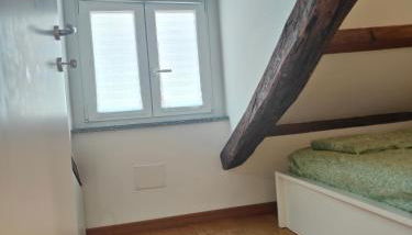 Oasi di città - Photo 5