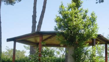 Casina Pian Di Monetto - Foto 5, Garden, Internal: Not applicable to any particular room