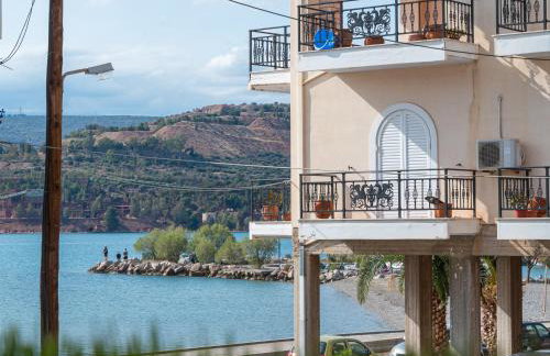 Coconut Blue - Photo 23