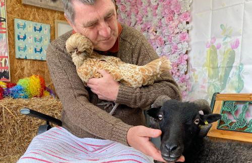 Unique Stay on an Alpaca Therapy Farm with Miniature Donkeys North Wales - Foto 14