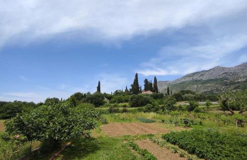 Bungevilia Apartment - Foto 16