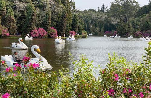 Aconchego e Natureza a 1,2km do Centro de Gramado - Photo 73