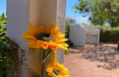 CALA PUNTAL COSTA SUR Vinaròs NG - Foto 22