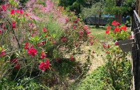Vacances au cœur de la Provence, en famille ou entre amis - Foto 7