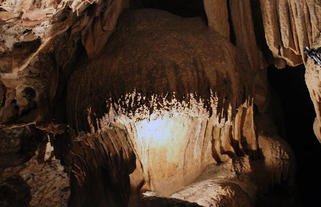 Tour della Fattoria di Struzzi e delle Grotte di Hato - Foto 2