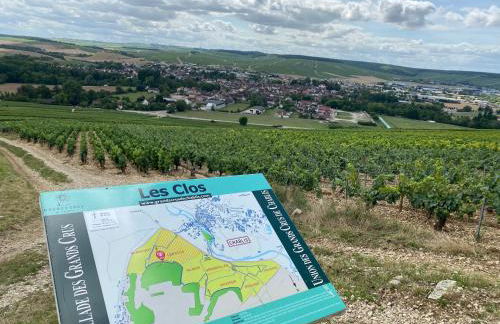 Le Merrain gîte plein coeur de Chablis - Foto 25