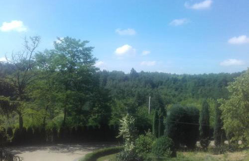 Dom w Zielonej Dolinie - Foto 3