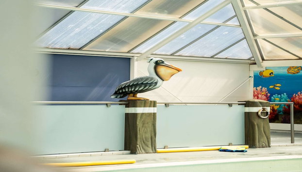 Detached Bungalow With a Dishwasher Near Leeuwarden - Foto 5, Piscina