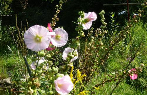 Villa-Hufeland - Foto 136