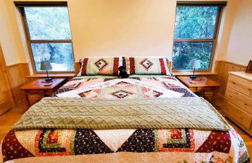Bearly Connected, a brand new cabin in the woods - Foto 10