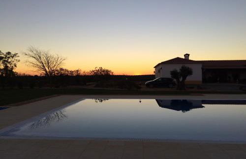 Monte das Palmeiras - Foto 22