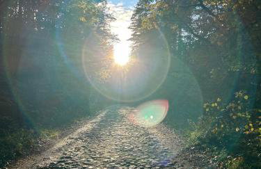 Stodoła Drwęck - Foto 30