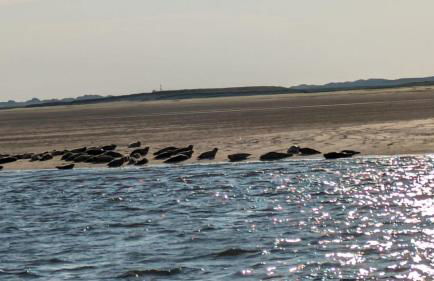 Drei-Insel-Blick Neßmersiel - Foto 44