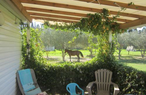 Le Mas Del Cargol - Foto 25