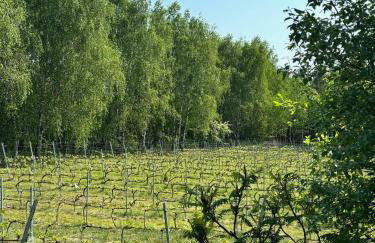 Apartamenty i Winnica - Siedlisko Na Polanie - Foto 72