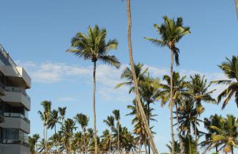 Lindo Apartamento pé na areia com serviço de limpeza - Foto 8