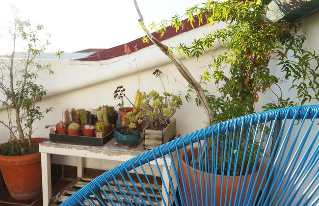 VIC Aveiro Arts House - Photo 56