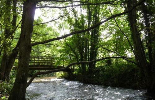 The Pack Horse Exmoor National Park Allerford Riverside Cottage & Apartments - Photo 8