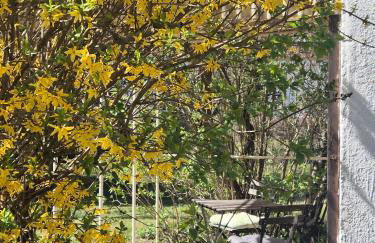 Schäferhaus - Photo 39