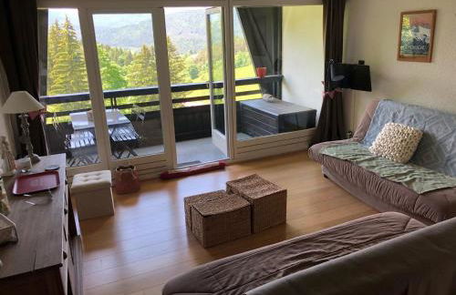 Studio cabine lumineux avec balcon à Villard-de-Lans - FR-1-515-185 - Foto 1