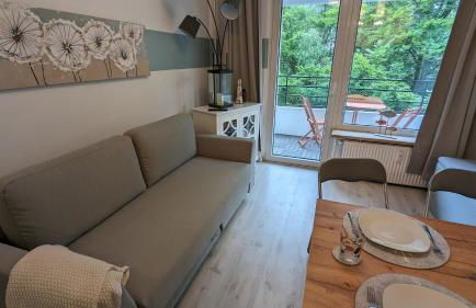 Wald und Meer - Foto 2