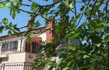 Apartman Maja - Foto 40