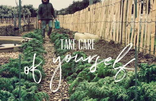 Dernier Ecolodge avant NewYork - Foto 35