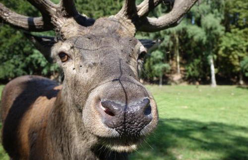 Ehrentaler Ferienhaus GbR - Foto 14