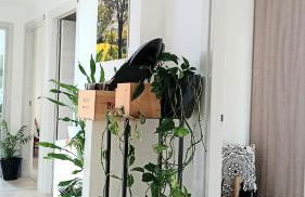 Appartment Lodged Mamma Maria - Foto 9