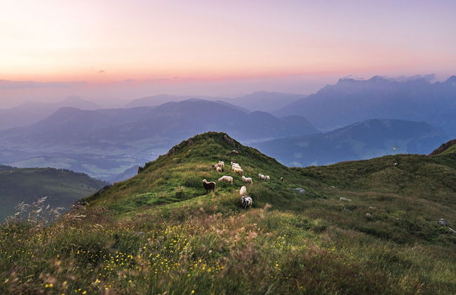 Appartamento con 5 camere da letto a Reith bei Kitzbühel con giardino e sauna - Foto 39