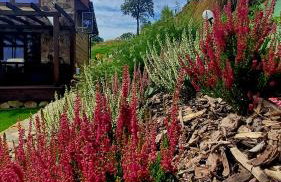 Kamienny Zakątek w Bieszczadach - Foto 24