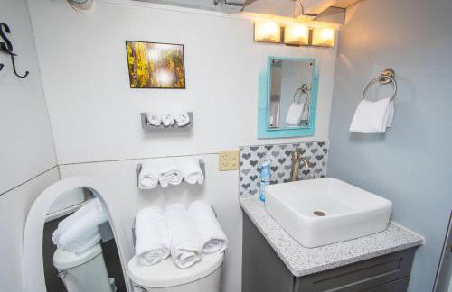 Tiny House Leadville Colorado - Foto 69