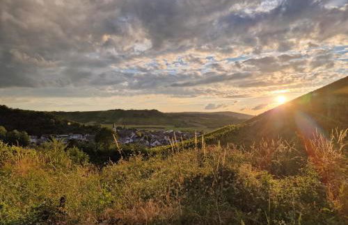 das rote Ferienhaus Terlinden - Foto 30
