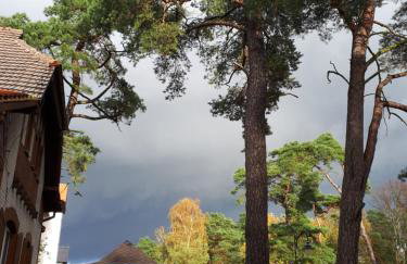 Domek Serce Krynicy - Foto 20