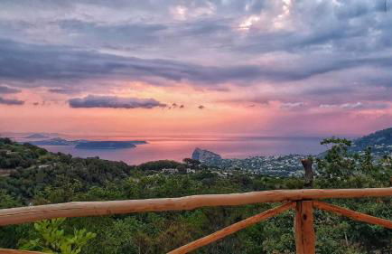 La Casetta nel Bosco - Foto 3